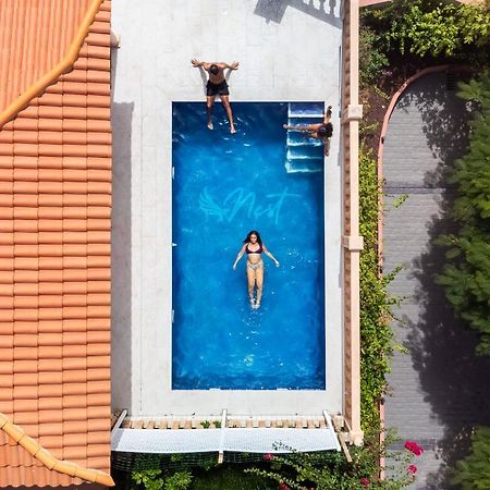 Duque Nest Hostel Адехе Экстерьер фото