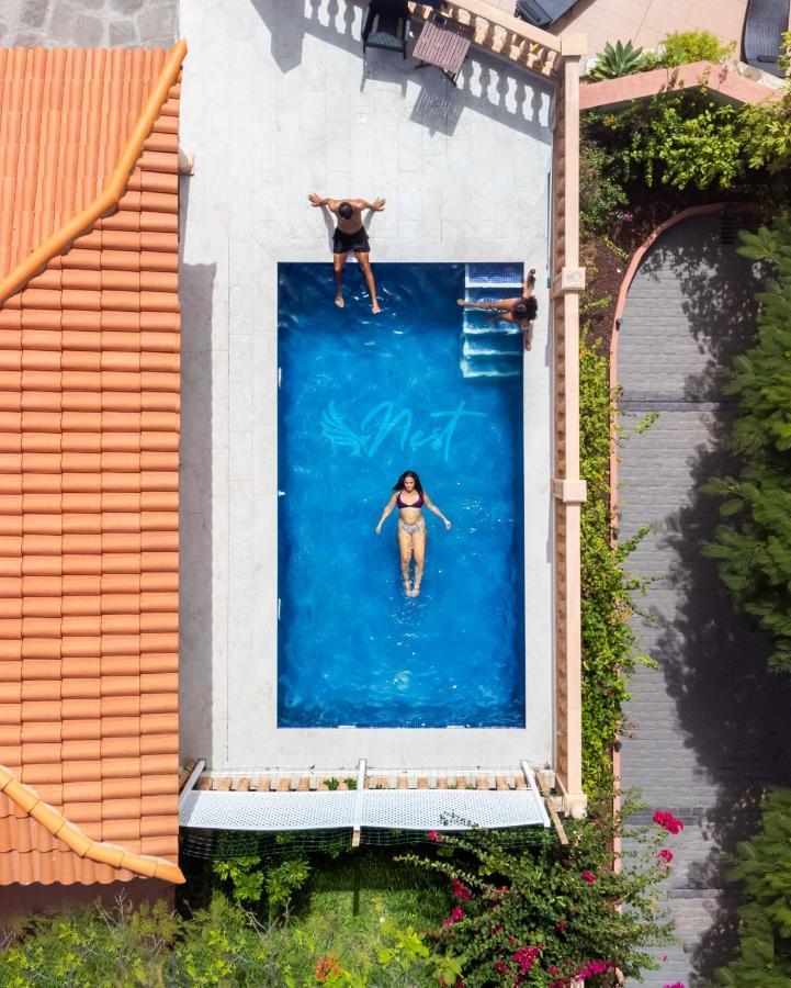 Duque Nest Hostel Адехе Экстерьер фото